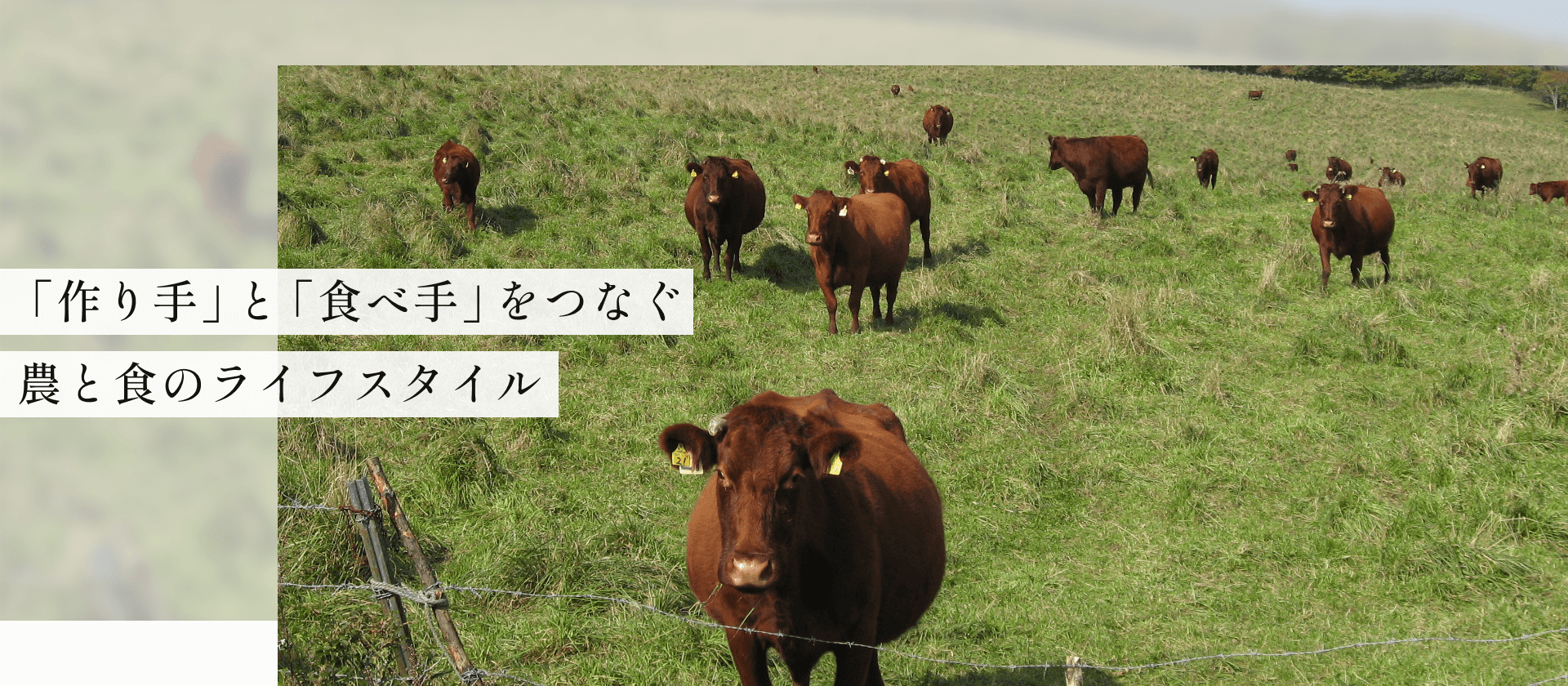 「作り手」と「食べ手」をつなぐ農と食のライフスタイル